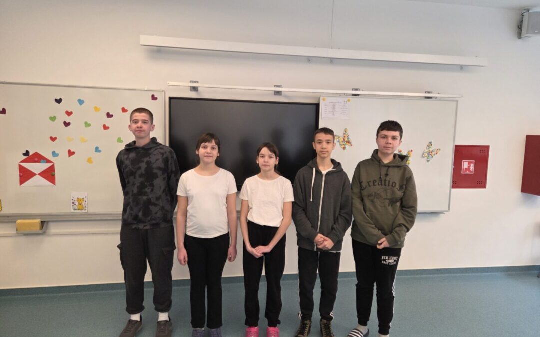 Županijsko natjecanje iz informatike